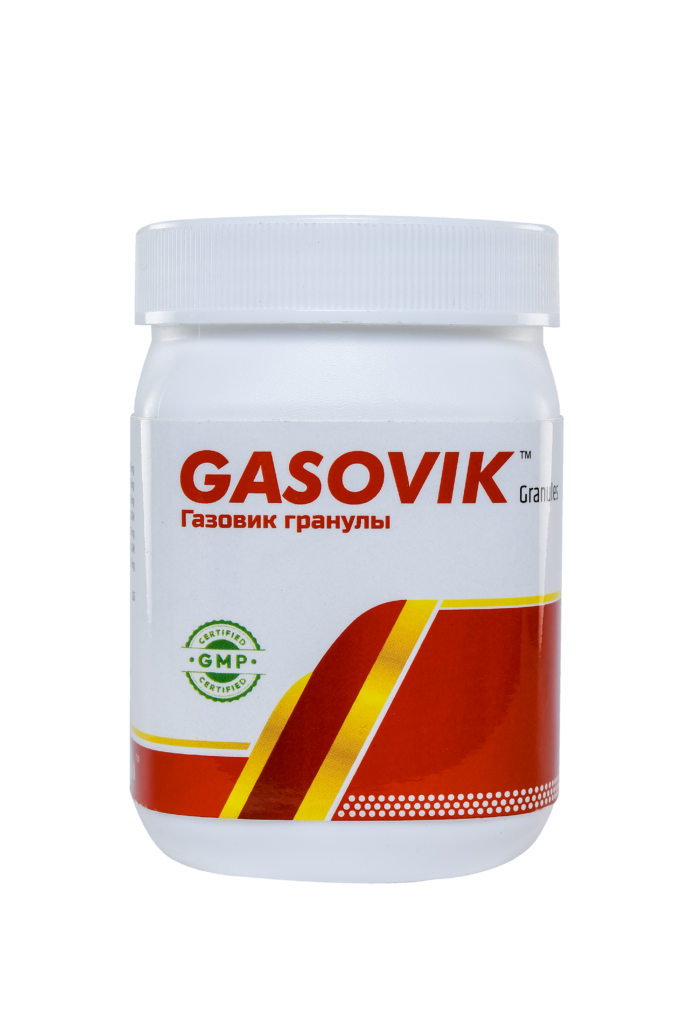 Gasovik